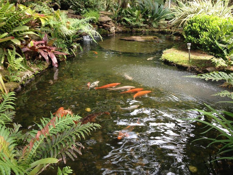Refugio Da Natureza São Francisco de Paula 외부 사진
